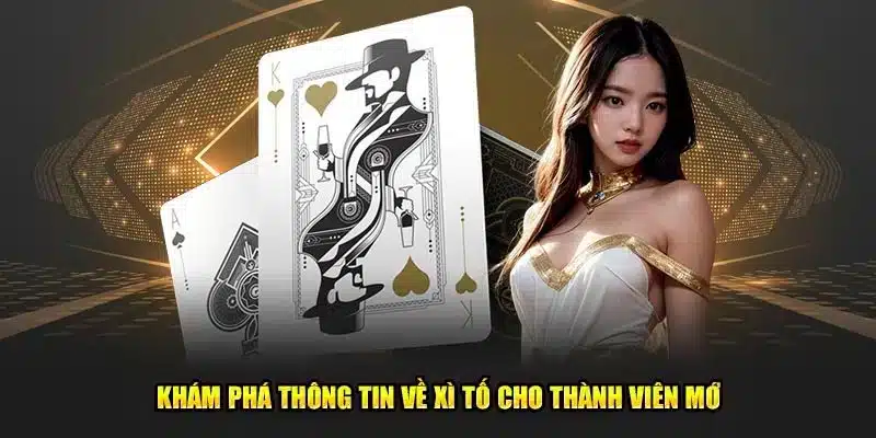 Hướng dẫn cách chơi xì tố từ A đến Z cho newbie